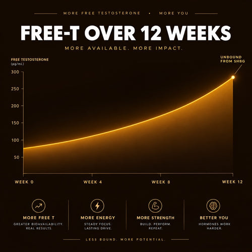 Testo Coffee: Bio-Thermal Dark Roast